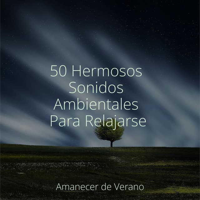 50 Hermosos Sonidos Ambientales Para Relajarse - Academia de Música con Sonidos de la Naturaleza