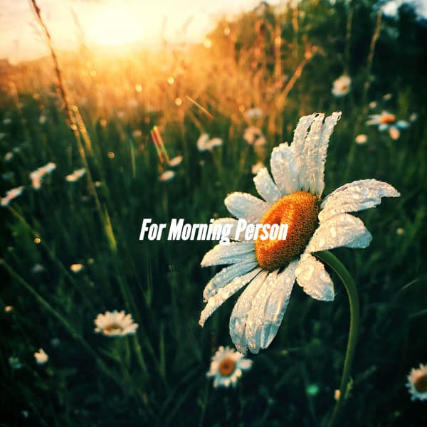 For Morning Person - Light Dinner Music