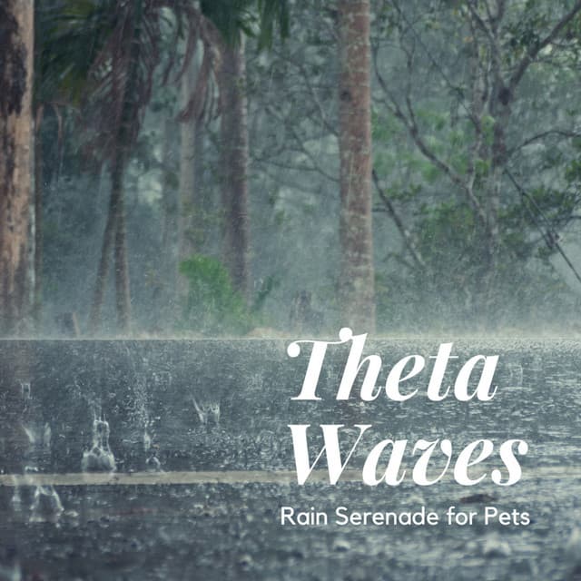 Theta Waves, Rain Serenade for Pets - XLD Library