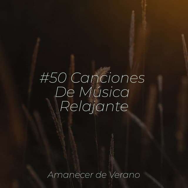 #50 Canciones De Música Relajante - Musica romantica instrumental