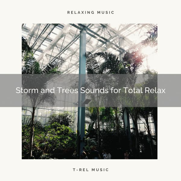 Storm and Trees Sounds for Total Relax - Calm Rain for Sleep