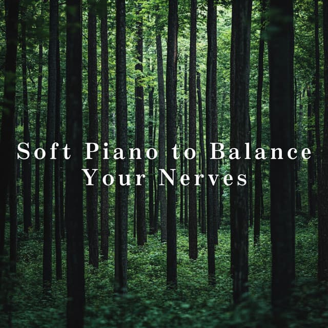 Soft Piano to Balance Your Nerves - Relaxing BGM Project