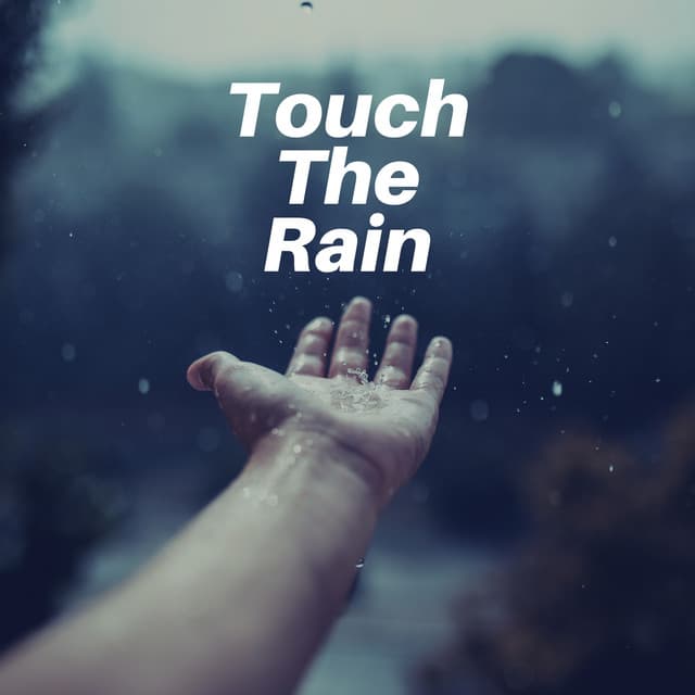Touch the Rain - Rainfall Meditations
