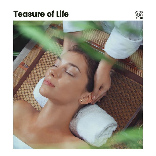 Teasure of Life - Calming Music Academy