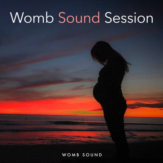 Womb Sound Session - Womb Sound